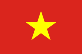 越南室内足球队图片